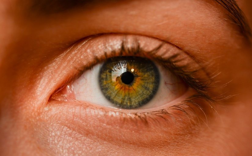 Oczy to ekstrawagancki narząd. To właśnie dzięki nim rozróżniamy.